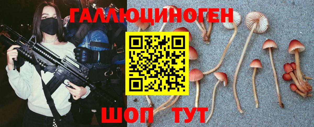Галлюциногенные грибы MAGIC MUSHROOMS  Псилоцибиновые грибы мицелий  Вход с VPN  Новоалександровск 