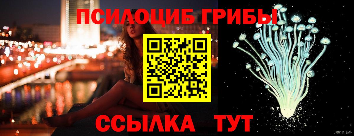 Псилоцибиновые грибы MAGIC MUSHROOMS Новоалександровск